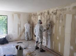 Best Mold Remediation for Healthcare Facilities  in Westfield Center, OH